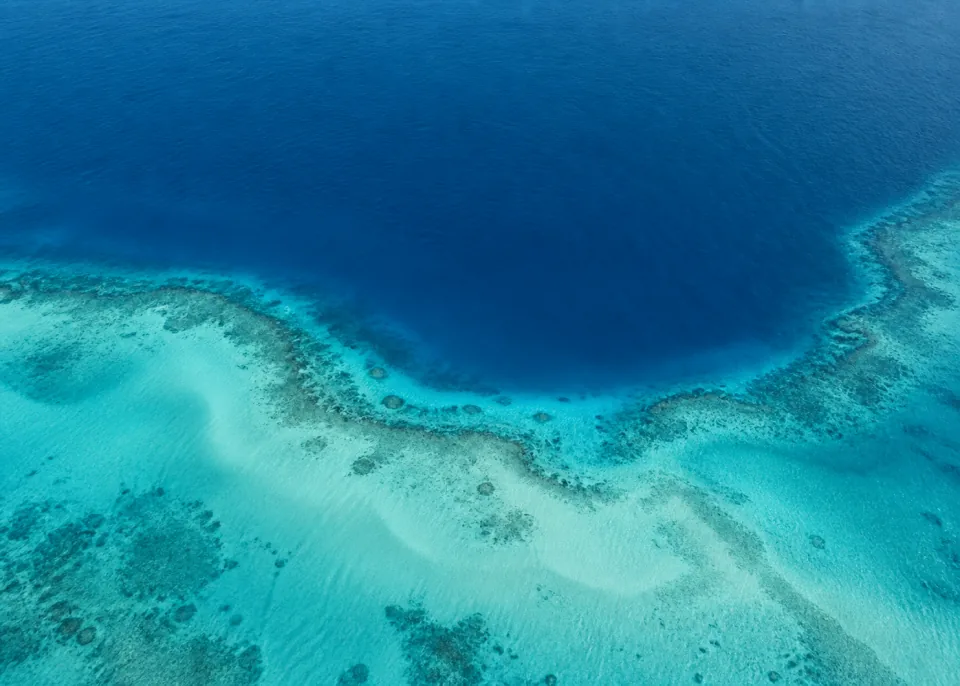 Cobalt Edge: A sweeping clean boundary between deep cobalt water and shallow desaturated cyan shelf across lower half, broad organic curved forms.