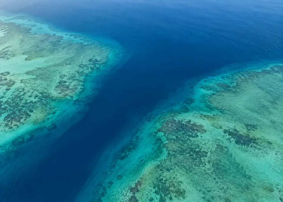 Reef Passage: One wide smooth deep-blue channel flows diagonally between large soft-edged muted jade reef plateaus, sparse restrained underwater detail.