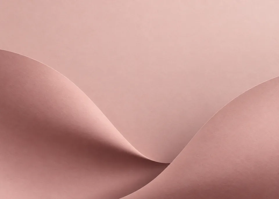 Blush Envelope: Two broad dusty blush paper folds curve inward from opposite lower edges without forming a literal envelope, warm mauve cast shadows and pale rose background.